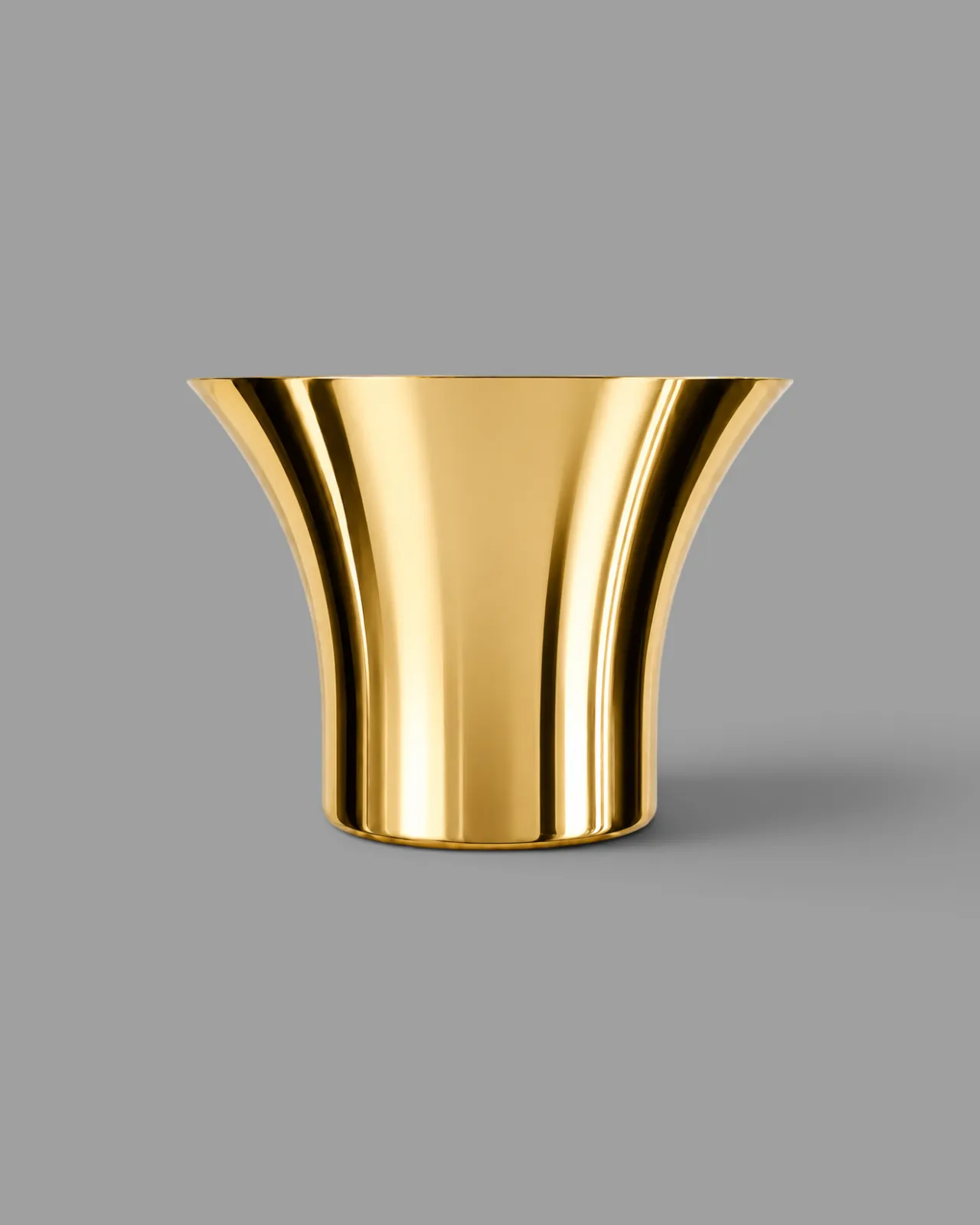 Imagen del producto Big Barbarian Oro 12 L